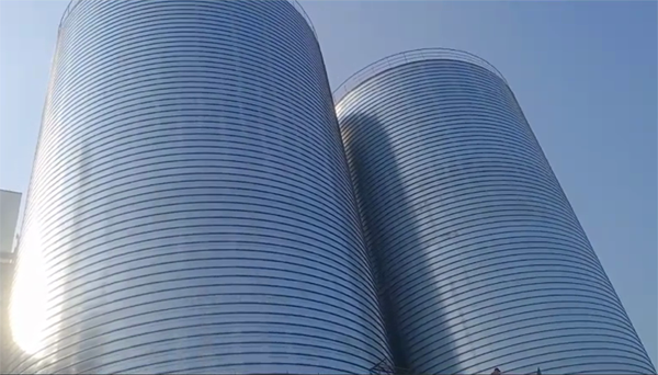 宣城2座混凝土高架卷板仓